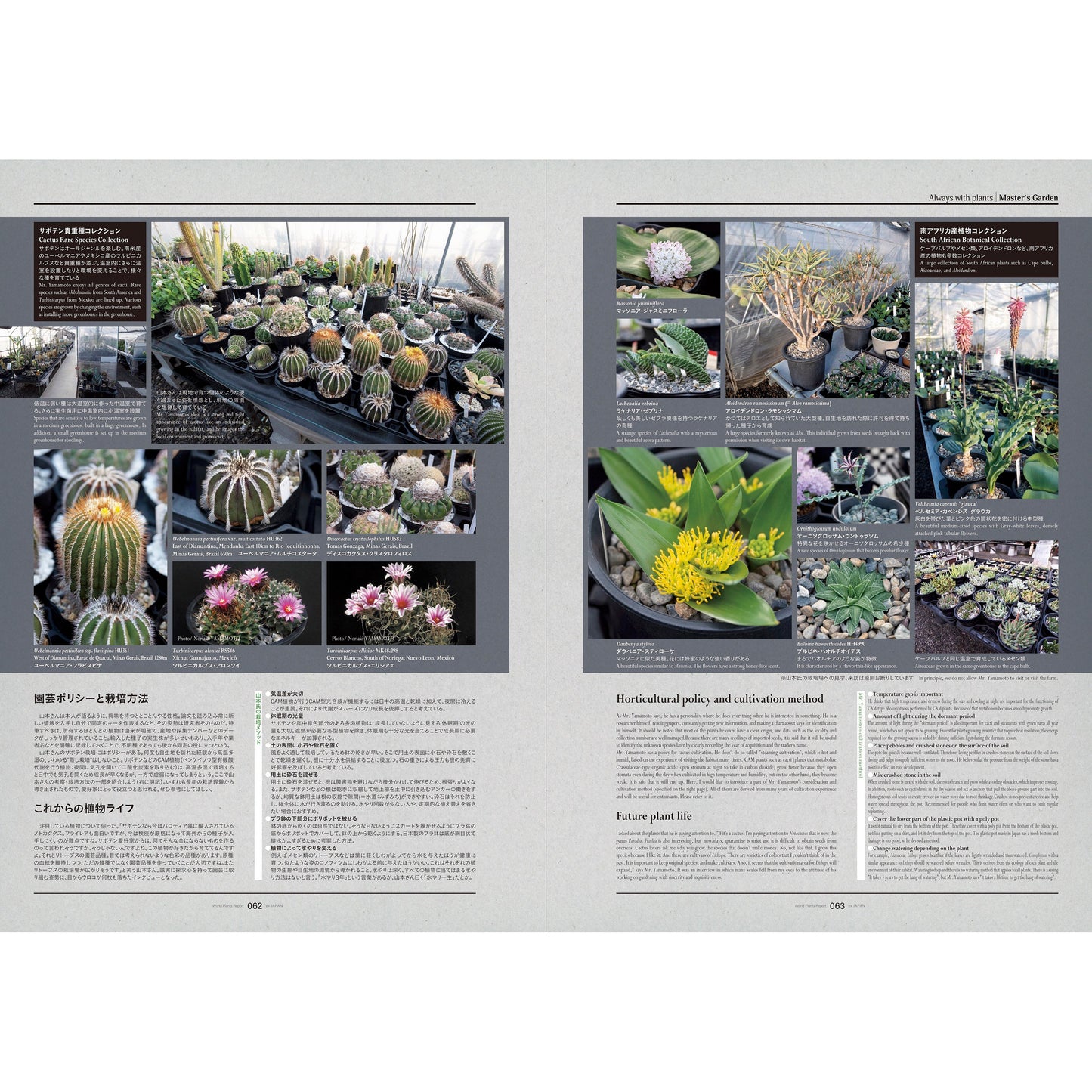 World Plants Report Book