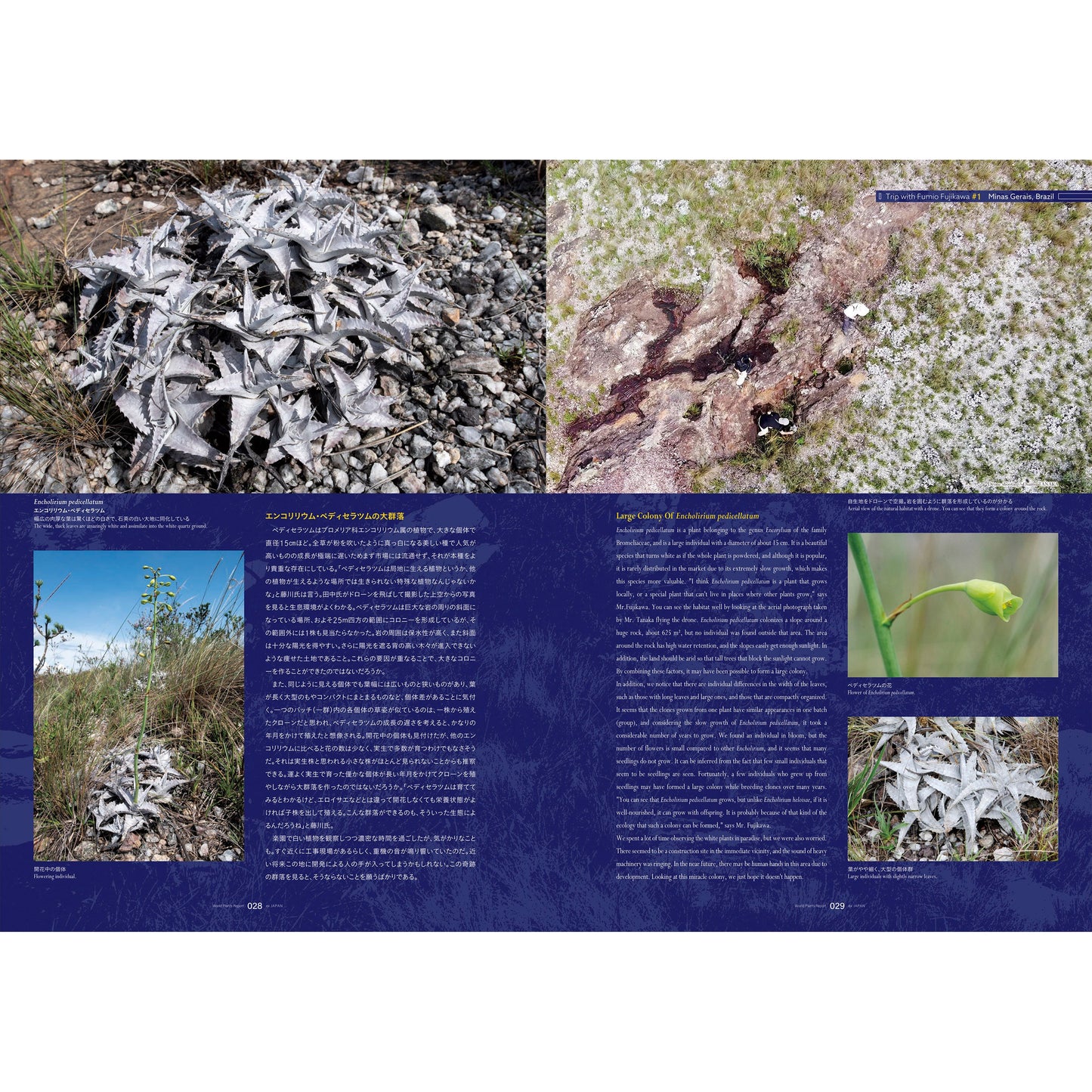 World Plants Report Book