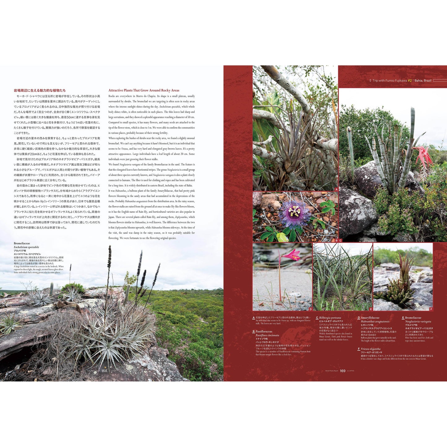 World Plants Report Book