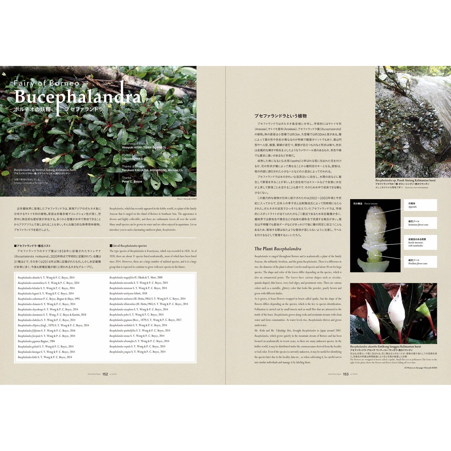 World Plants Report Book