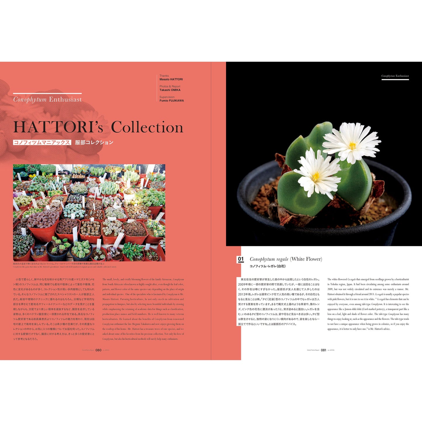 World Plants Report Book