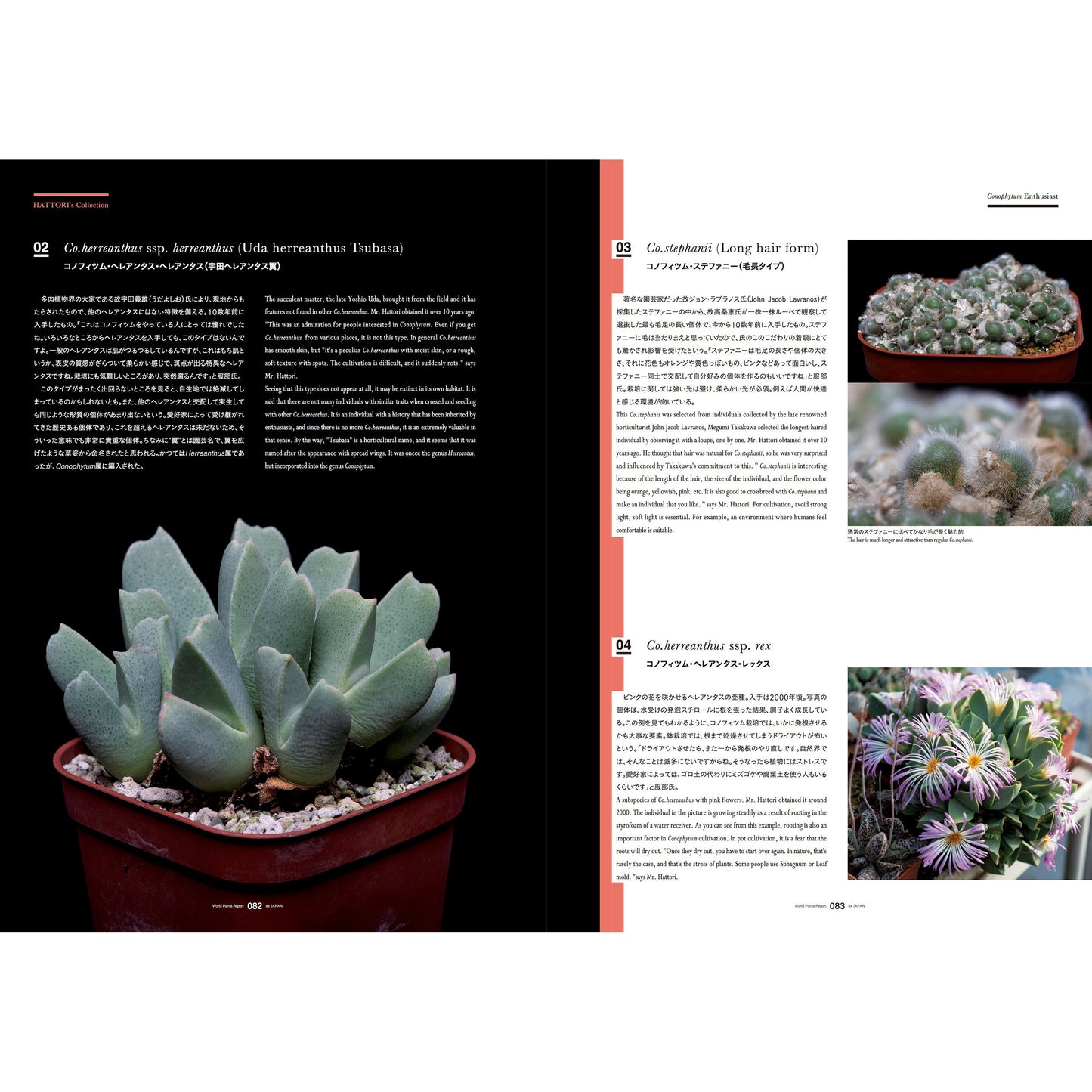 World Plants Report Book