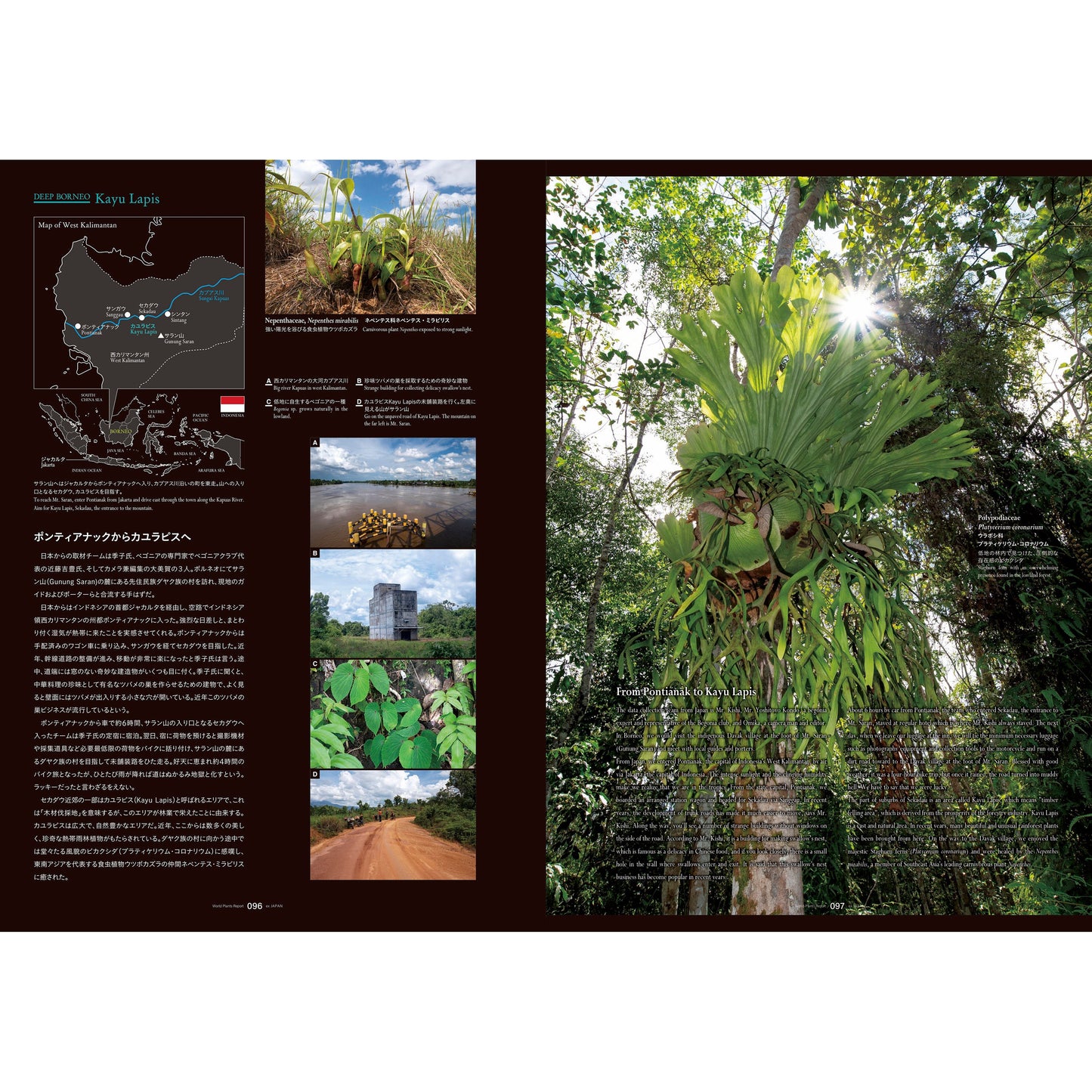 World Plants Report Book