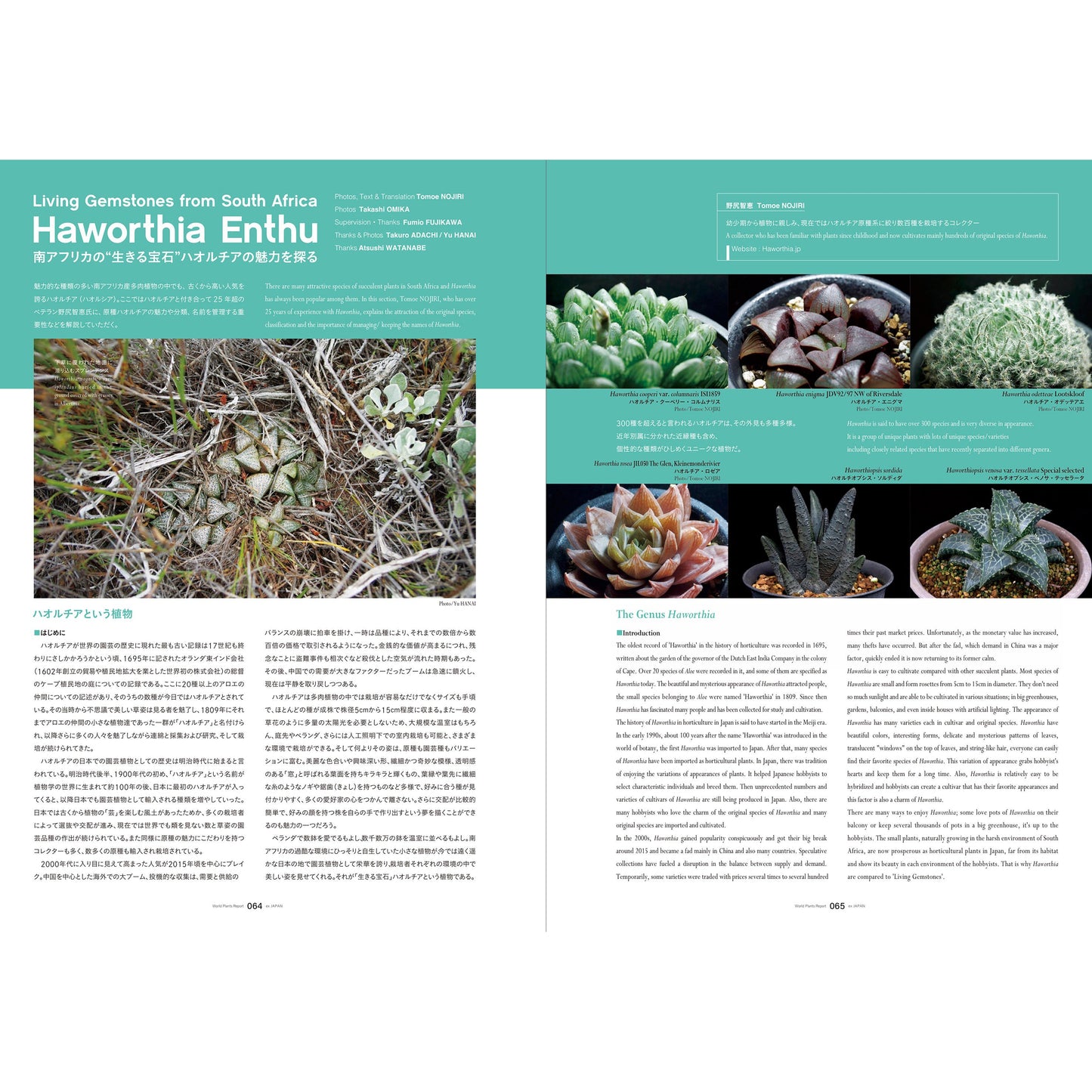 World Plants Report Book