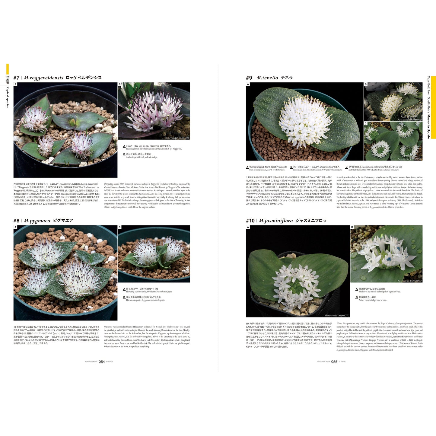 World Plants Report Book