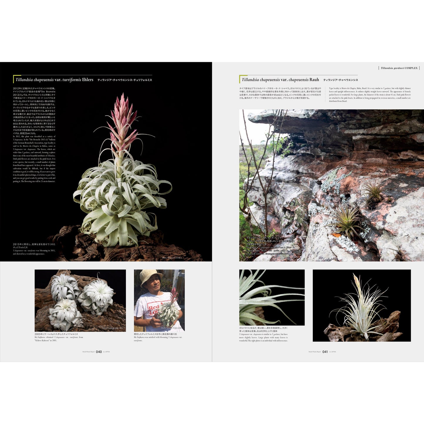 World Plants Report Book