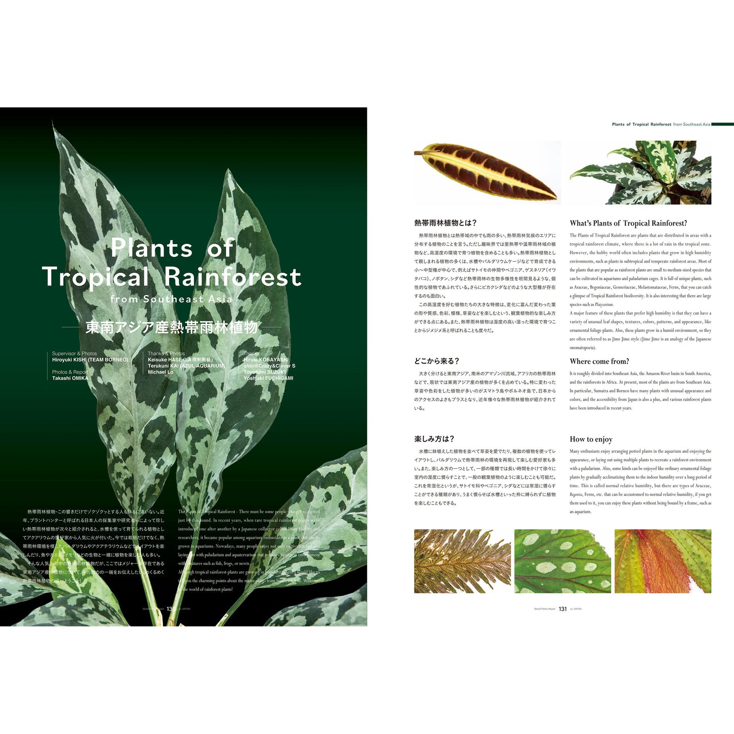 World Plants Report Book