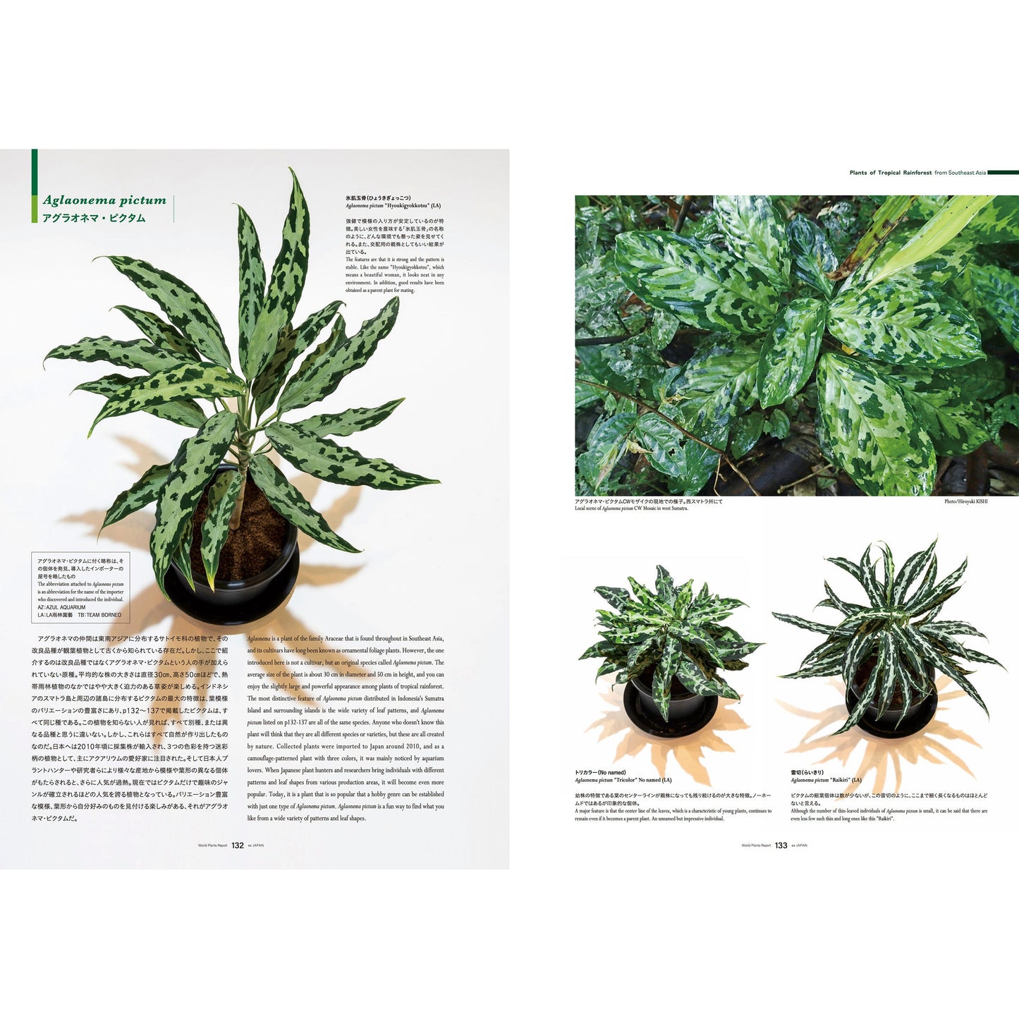 World Plants Report Book