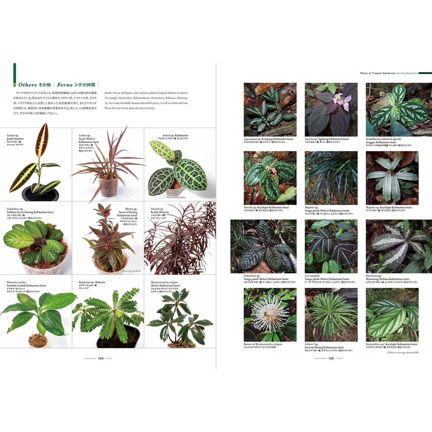 World Plants Report Book