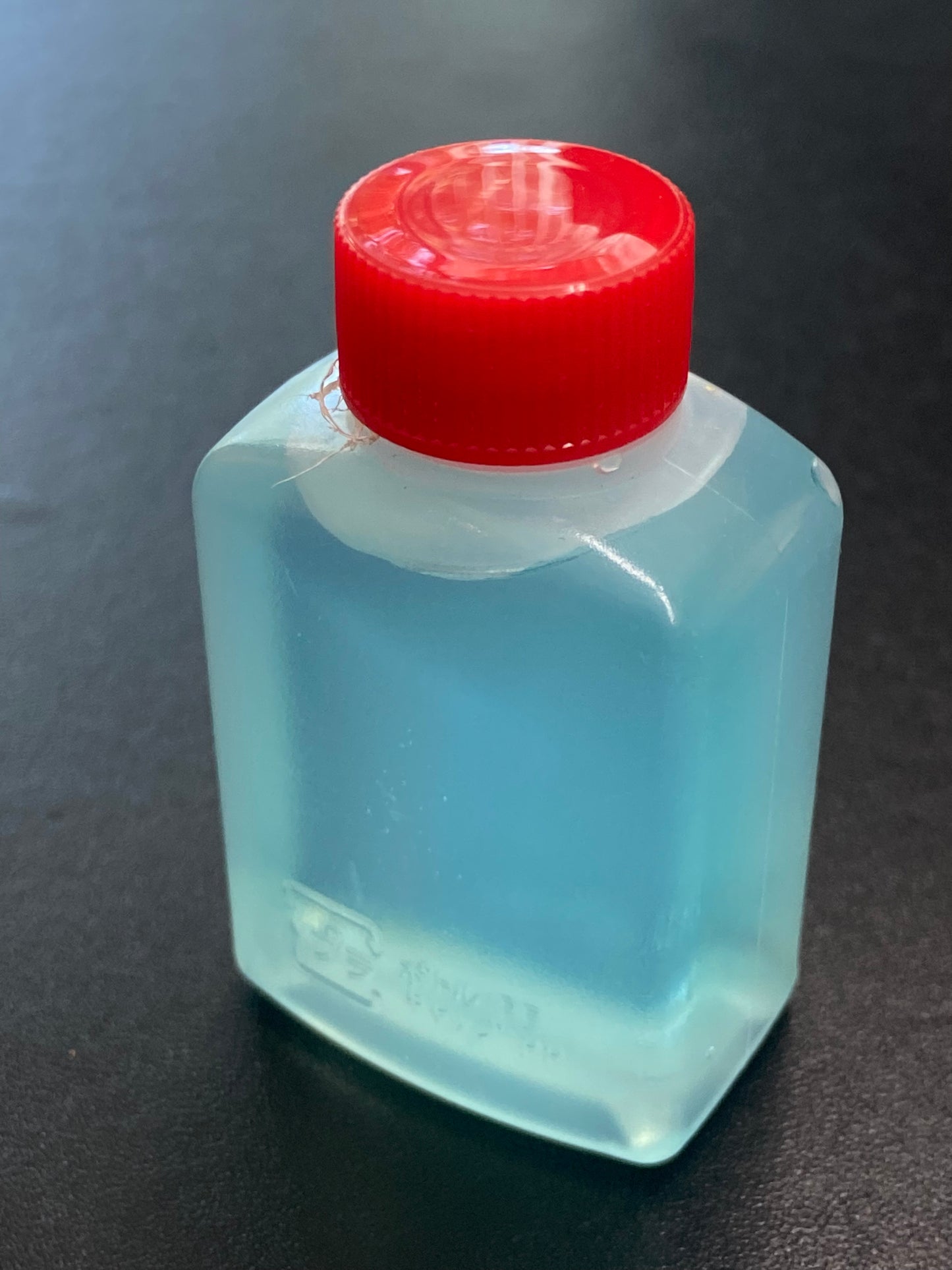 Medaka Eggs | PICKED SPRING 2026