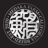 Japanese Rice Fish (Oryzias latipes): Care Guide – medakafarm