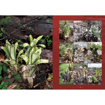 World Plants Report Book