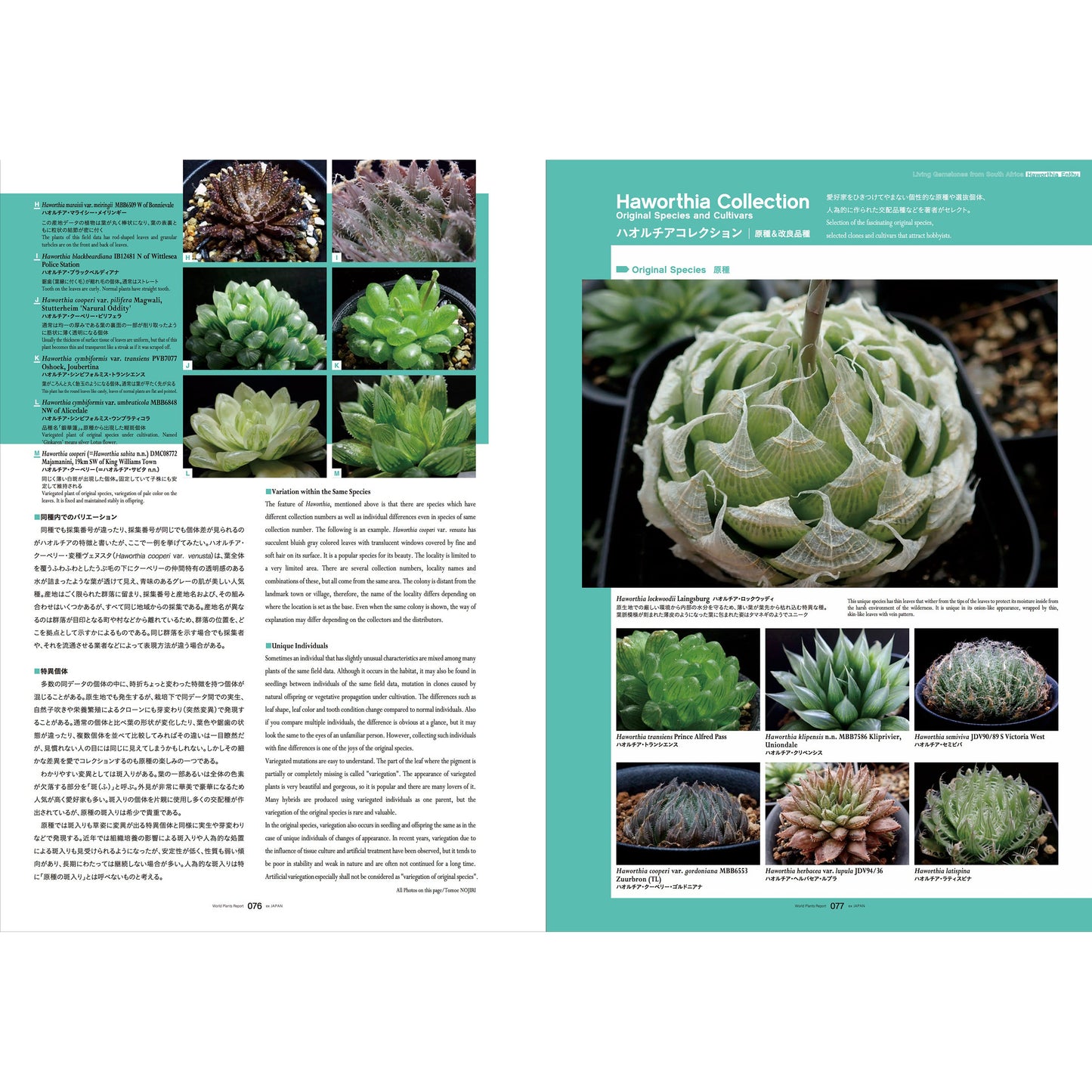 World Plants Report Book