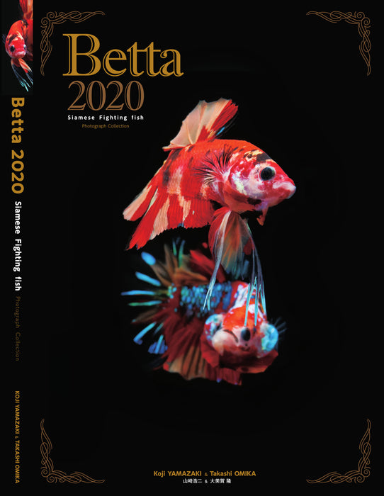 Betta Book | Betta Siamese Fighting fish Photograph Collection